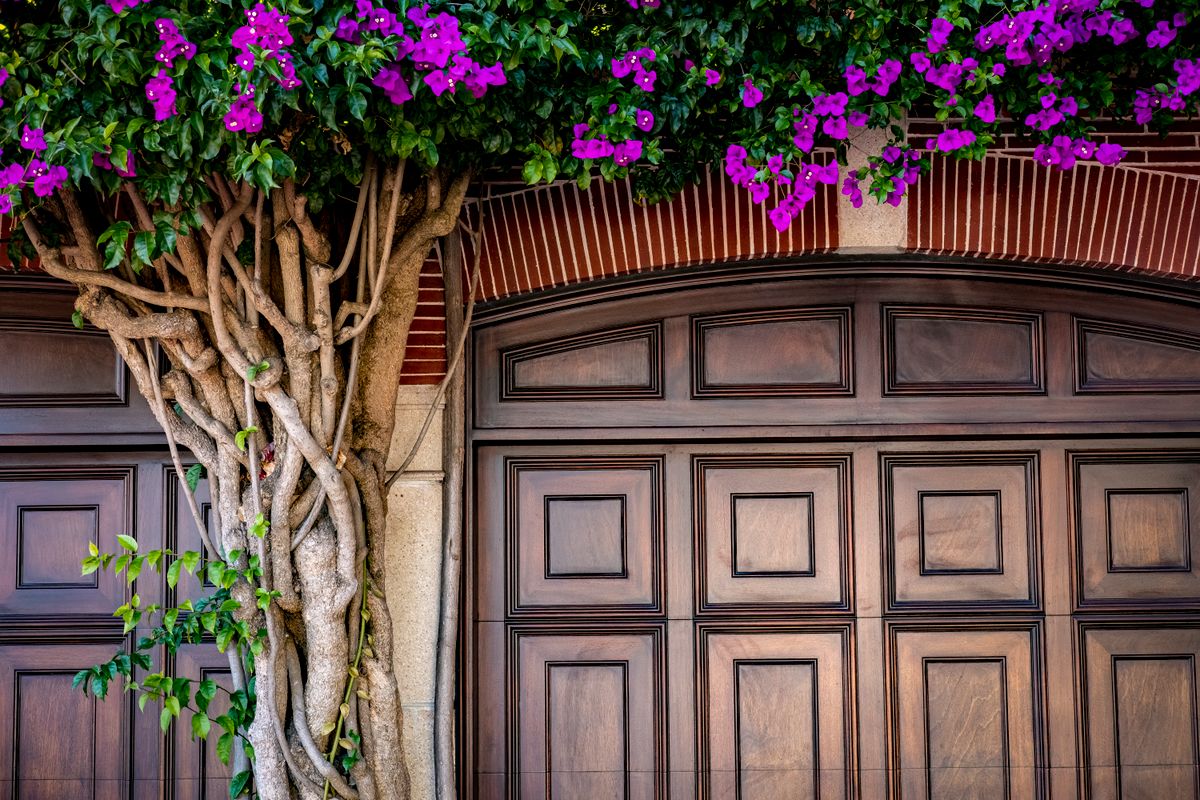Garage Door Spring Repair service in Houston, TX