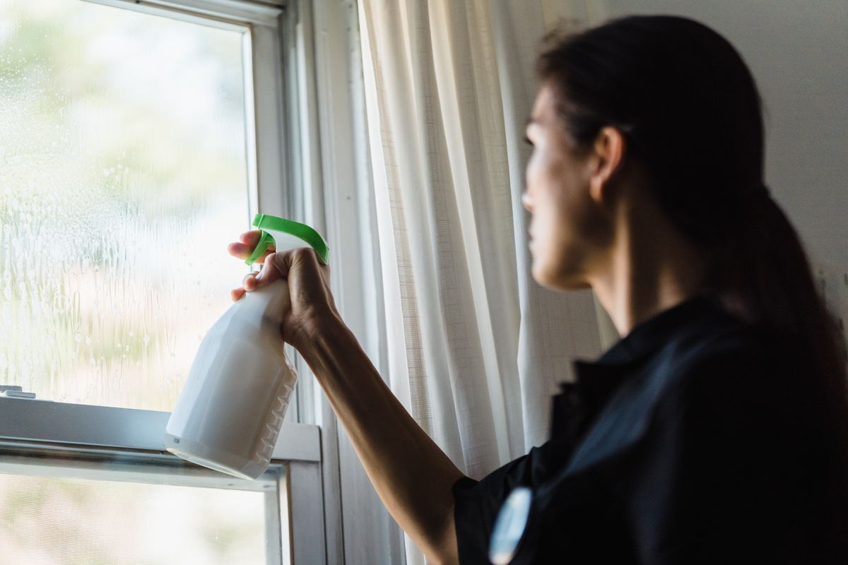 Interior Window Cleaning service in Seattle, WA