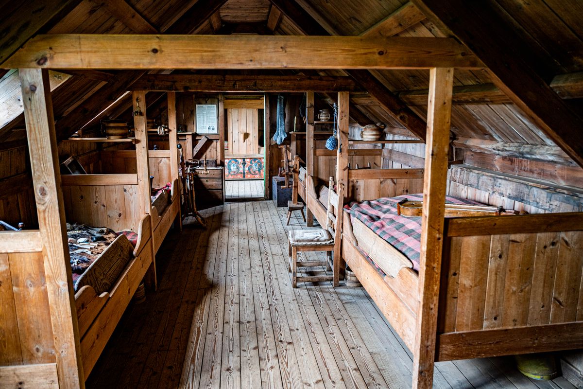 Attic Mold Remediation service in Greenville, SC