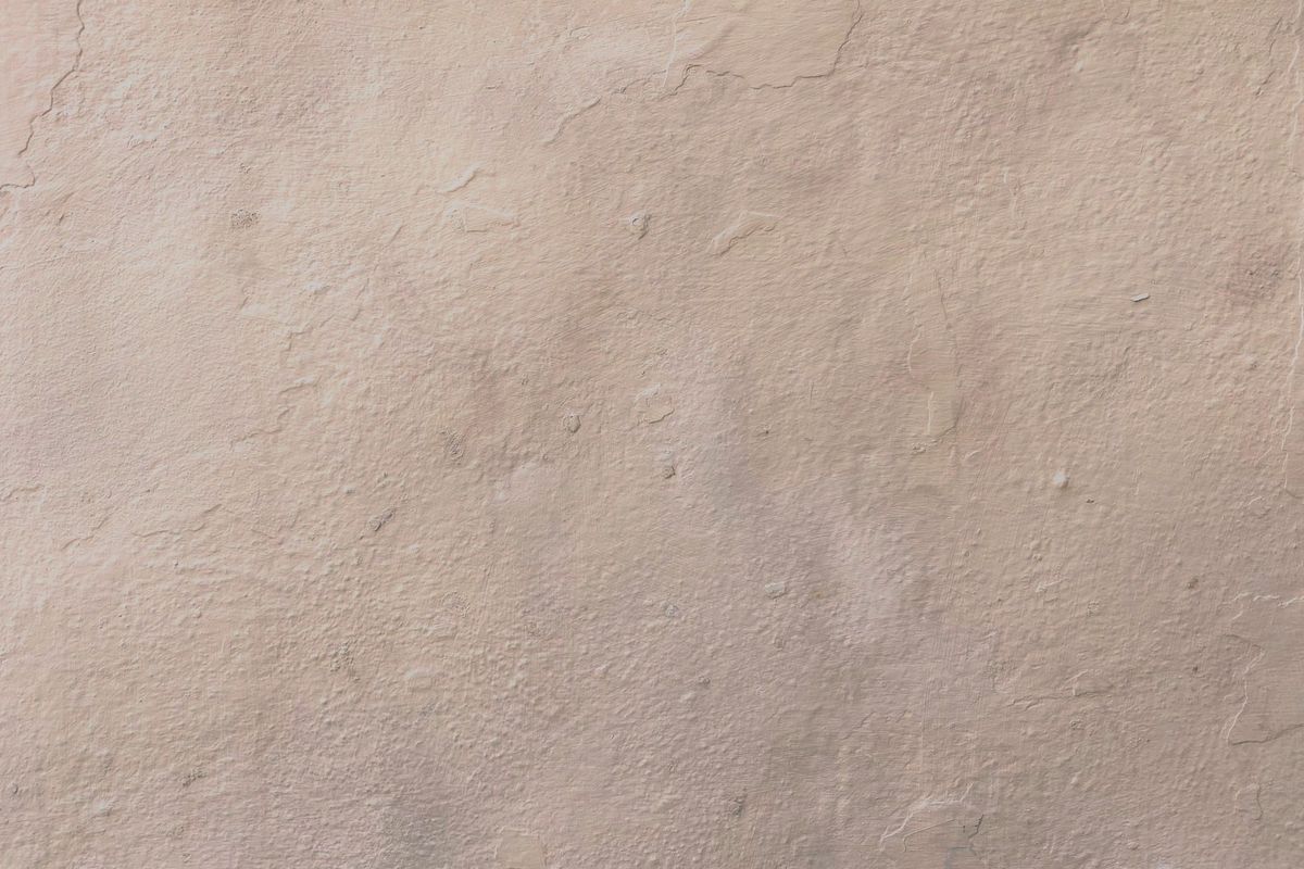Black Mold Removal service in Greenville, SC