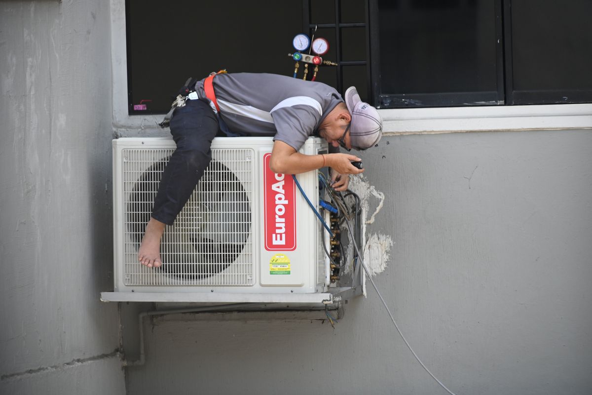 Commercial Mold Remediation in Greenville