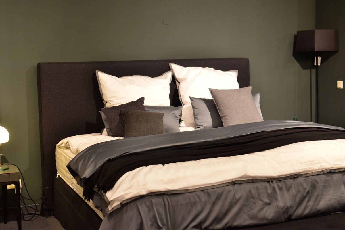 Bed Bug Treatment service in Gilbert, AZ