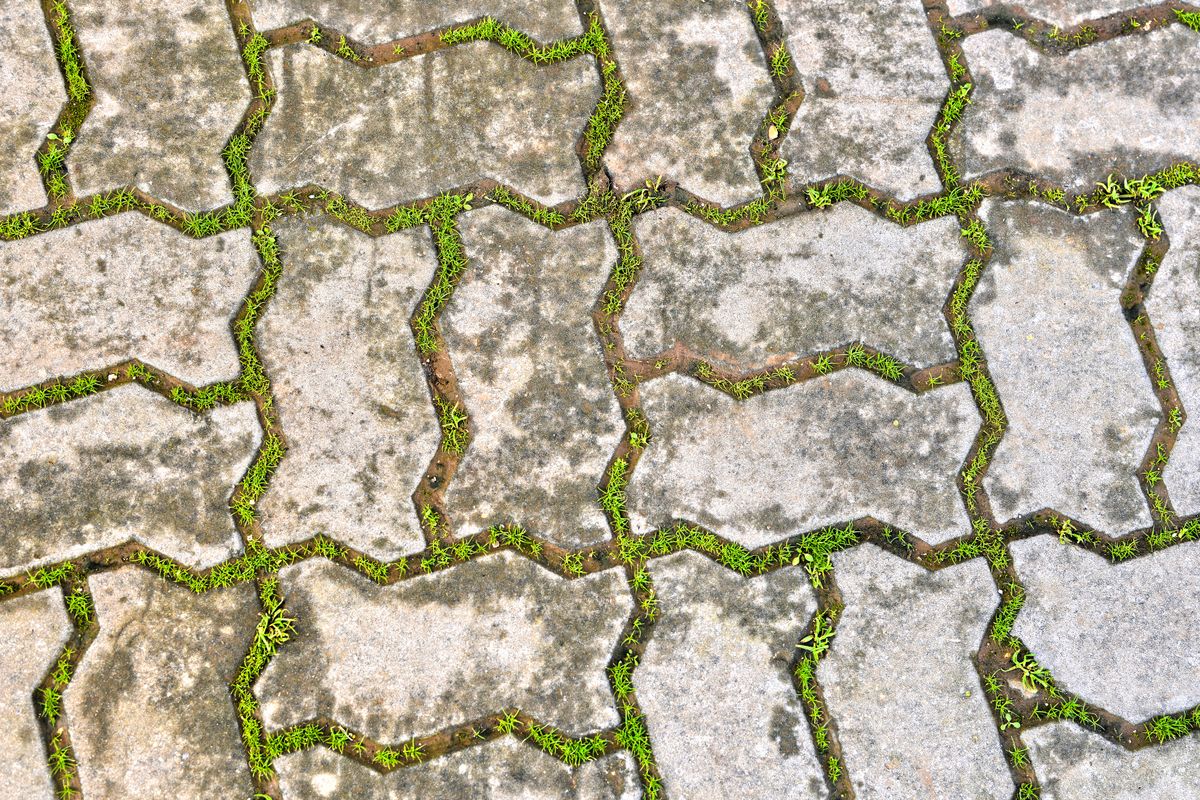 Paver Sealing in Lakeland