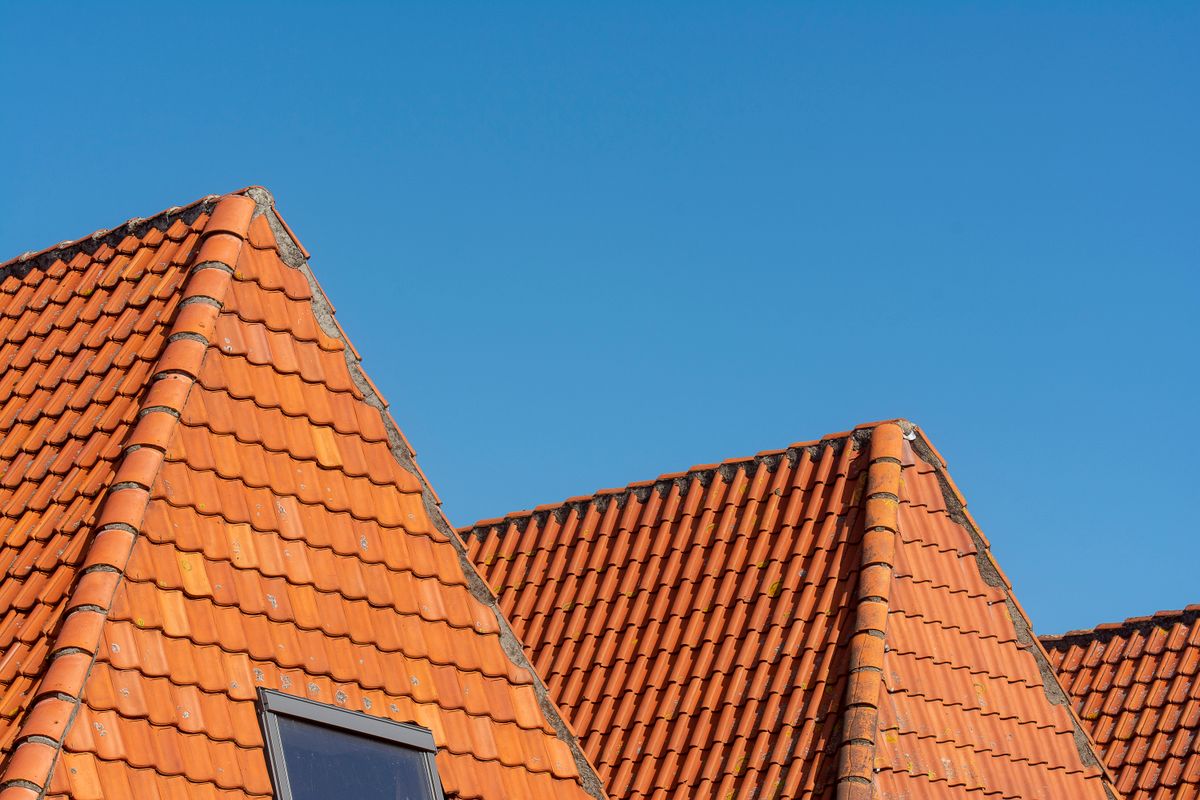 Roof Cleaning in Baton Rouge