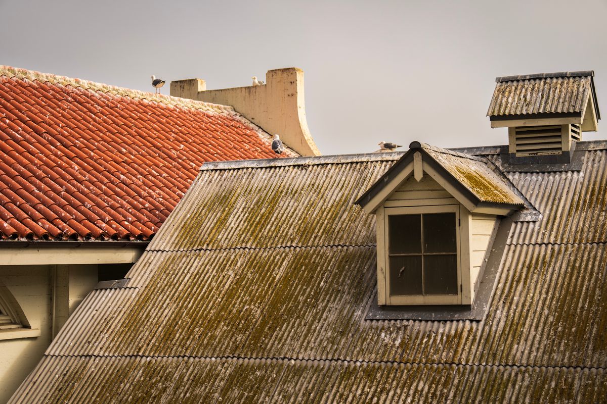 Roof Cleaning in Fort Myers